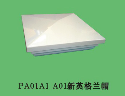 A01Ӣñ